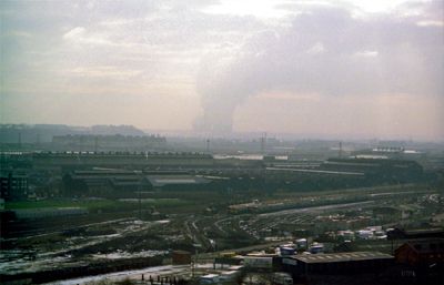 Photograph by Paul Bexon - 1982