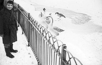 Photograph by Vivien Bexon