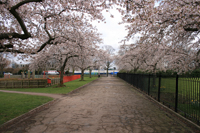 Photograph by Paul Bexon - 2008