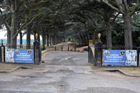 Photograph by Paul Bexon 2016