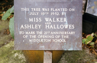 Photograph courtesy of John Hibbitt