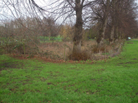 Photograph by David Lally