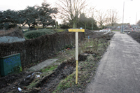 Photograph by Paul Bexon