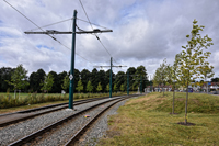 Photograph by Paul Bexon