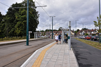 Photograph by Paul Bexon