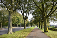 Photograph by Paul Bexon