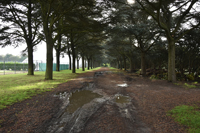 Photograph by Paul Bexon