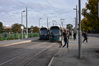 Photograph by Paul Bexon